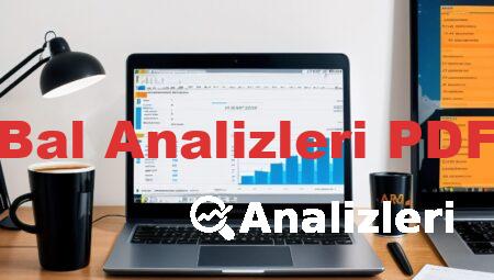 Bal Analizleri PDF
