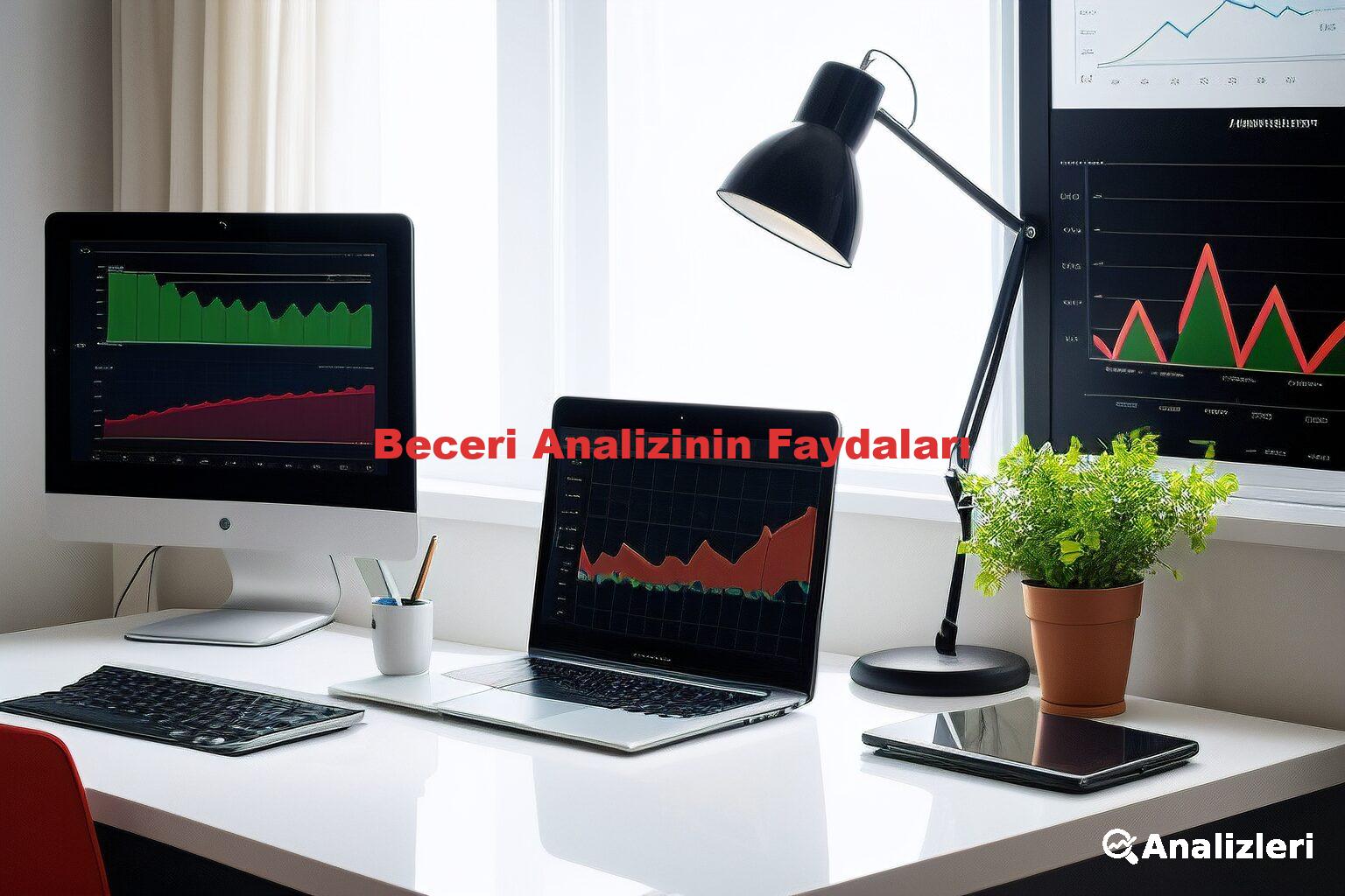 Beceri Analizinin Faydaları