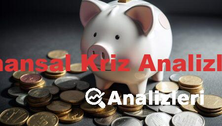 Finansal Kriz Analizleri