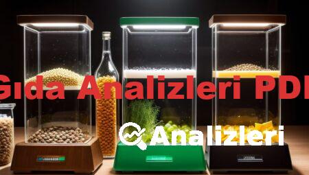Gıda Analizleri PDF