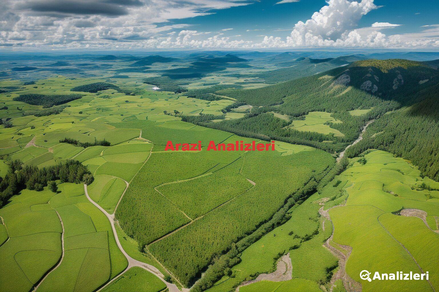 Arazi Analizleri