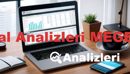 Bal Analizleri MEGEP