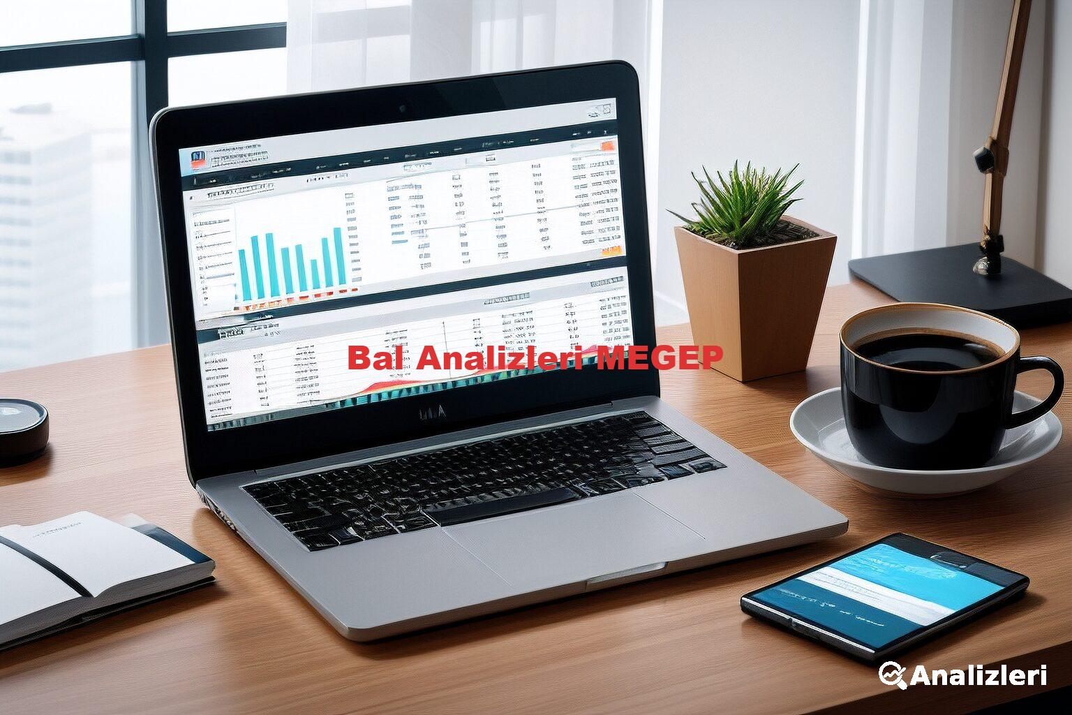 Bal Analizleri MEGEP