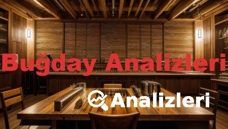 Buğday Analizleri