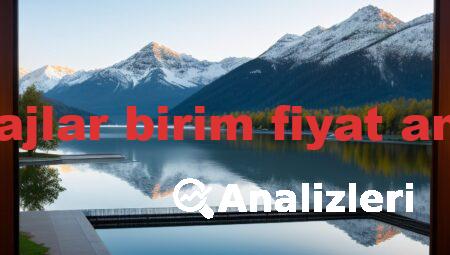 dsi barajlar birim fiyat analizleri