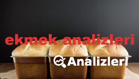 ekmek analizleri