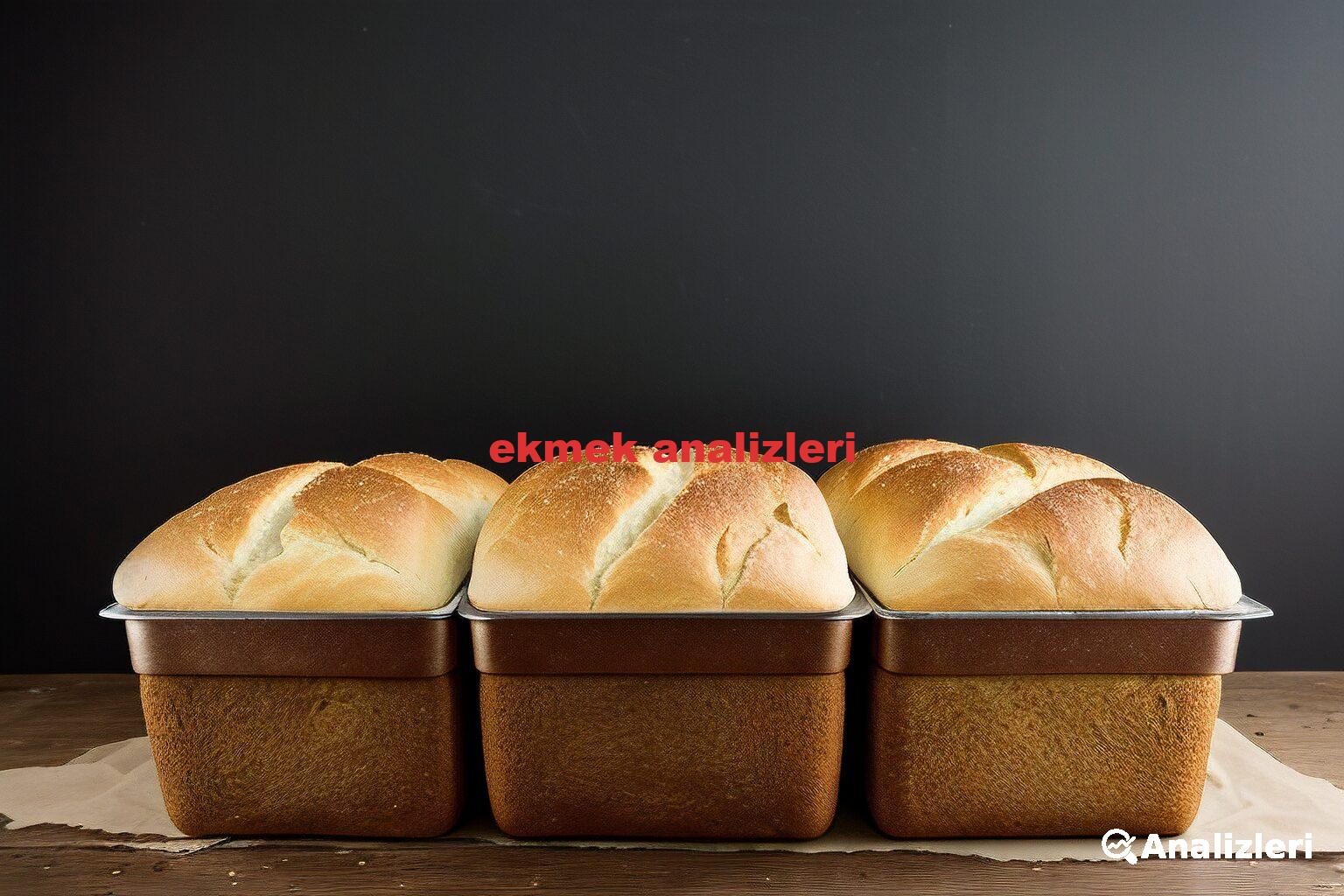 ekmek analizleri
