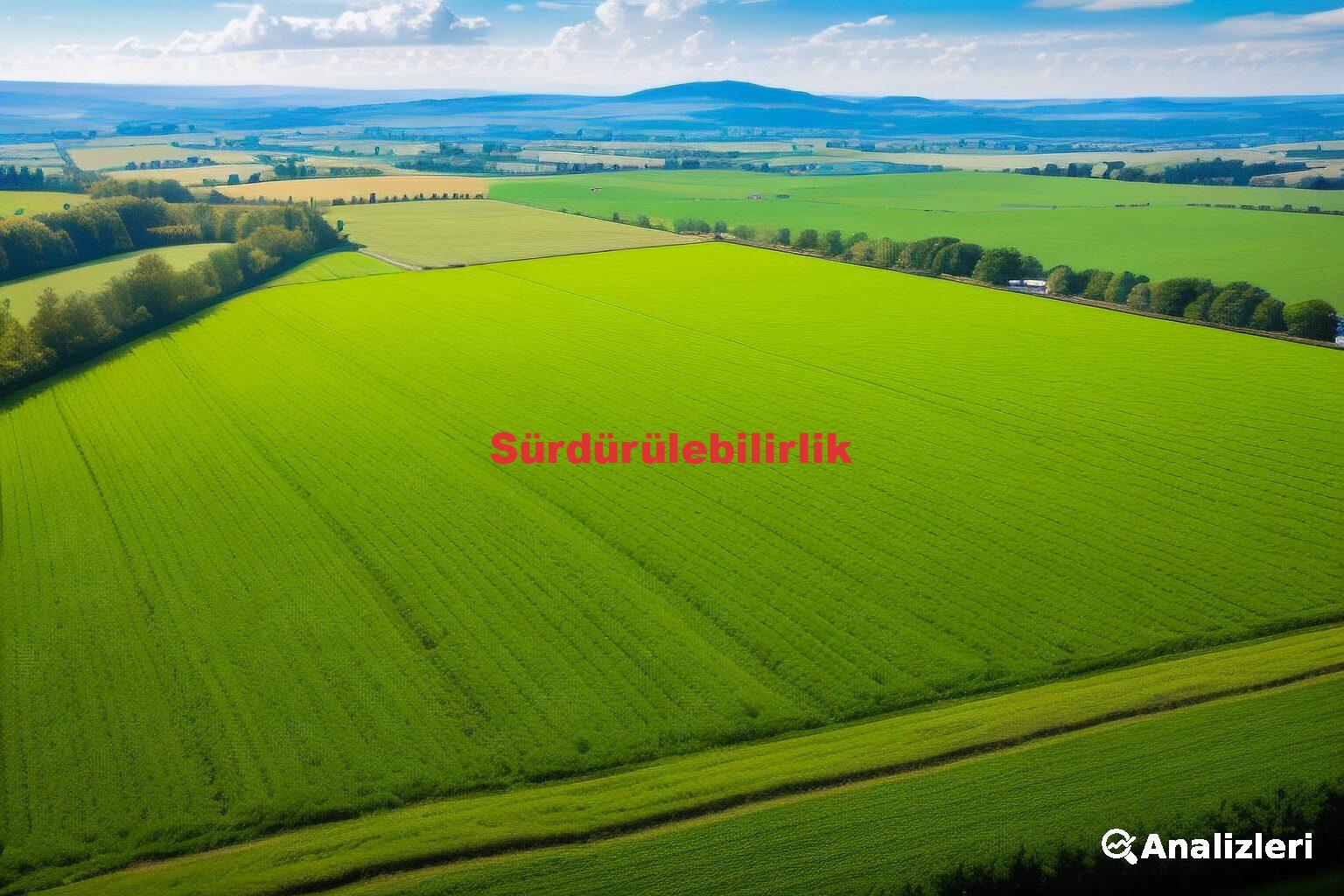 Sürdürülebilirlik