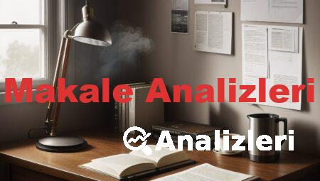 Makale Analizleri
