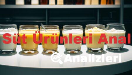 Süt ve Süt Ürünleri Analizleri 2