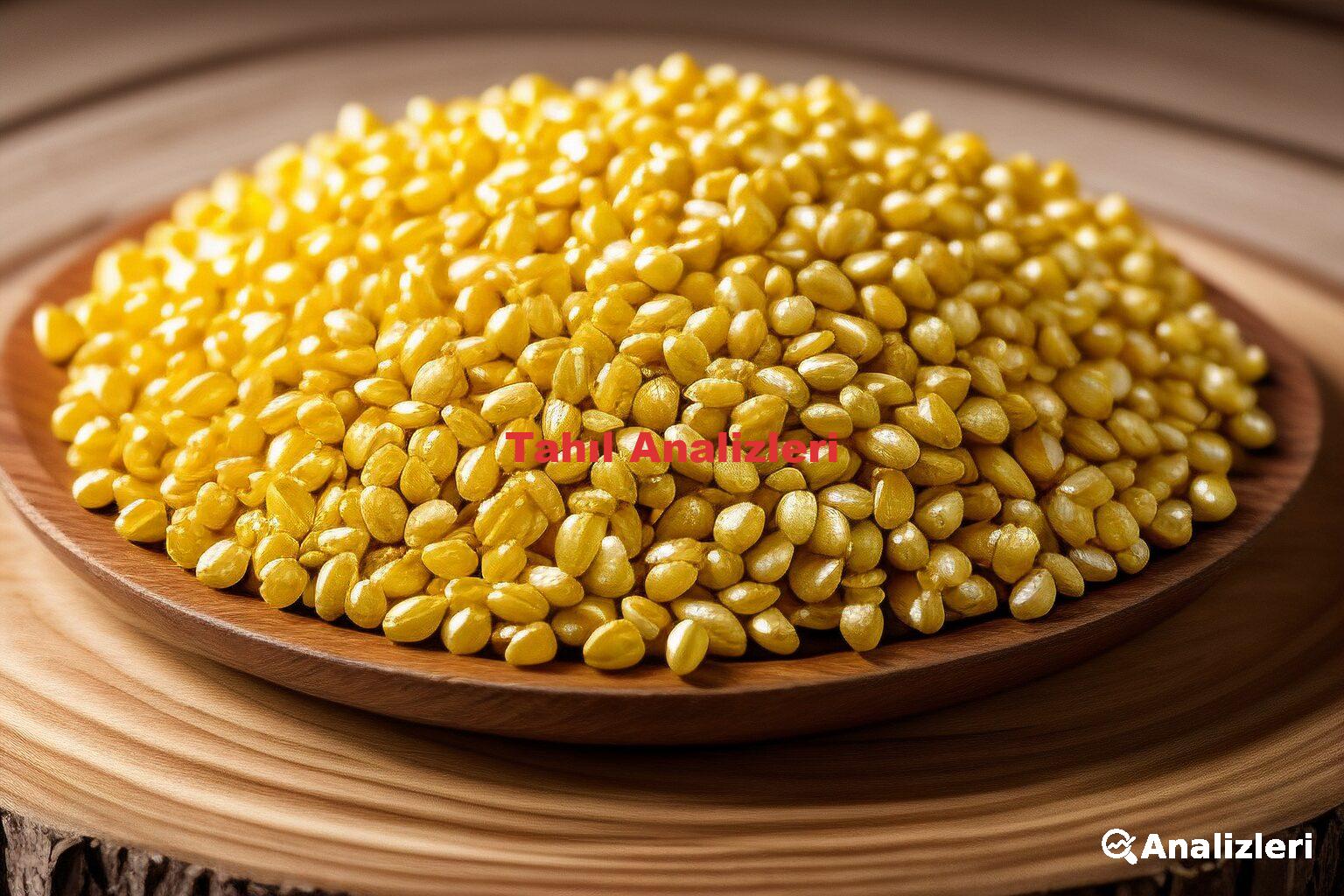 Tahıl Analizleri