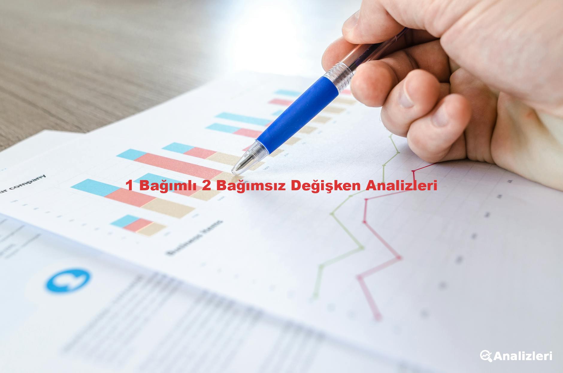 1 Bağımlı 2 Bağımsız Değişken Analizleri