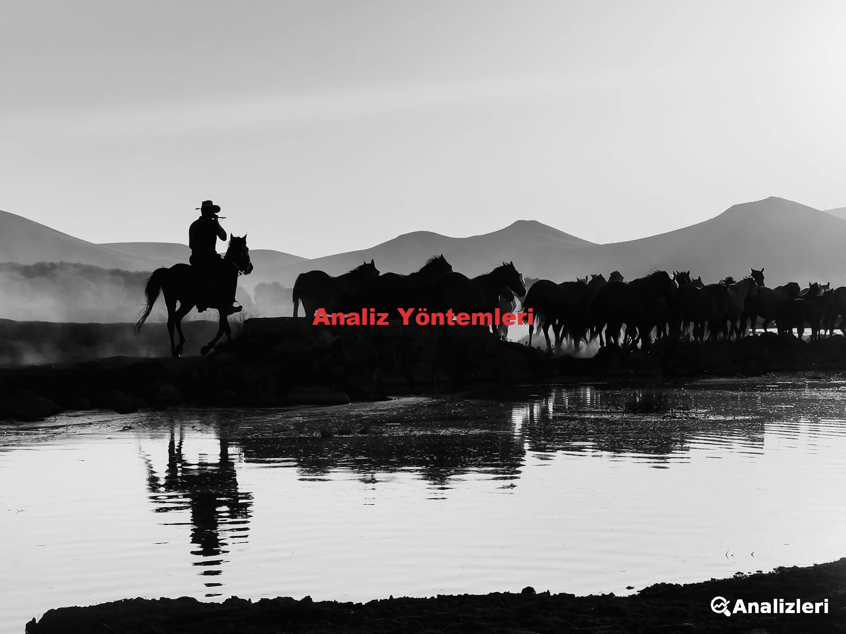 Analiz Yöntemleri