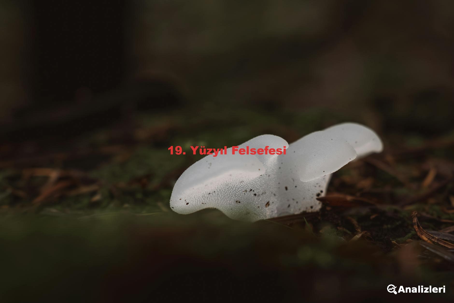 19. Yüzyıl Felsefesi