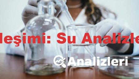 2 Suyun Hipotetik Bileşimi: Su Analizleri Yorumlanması 1-2