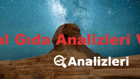 Enstrümental Gıda Analizleri Vize Soruları