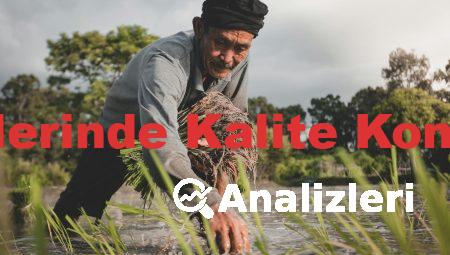 Et ve Et Ürünlerinde Kalite Kontrol Analizleri