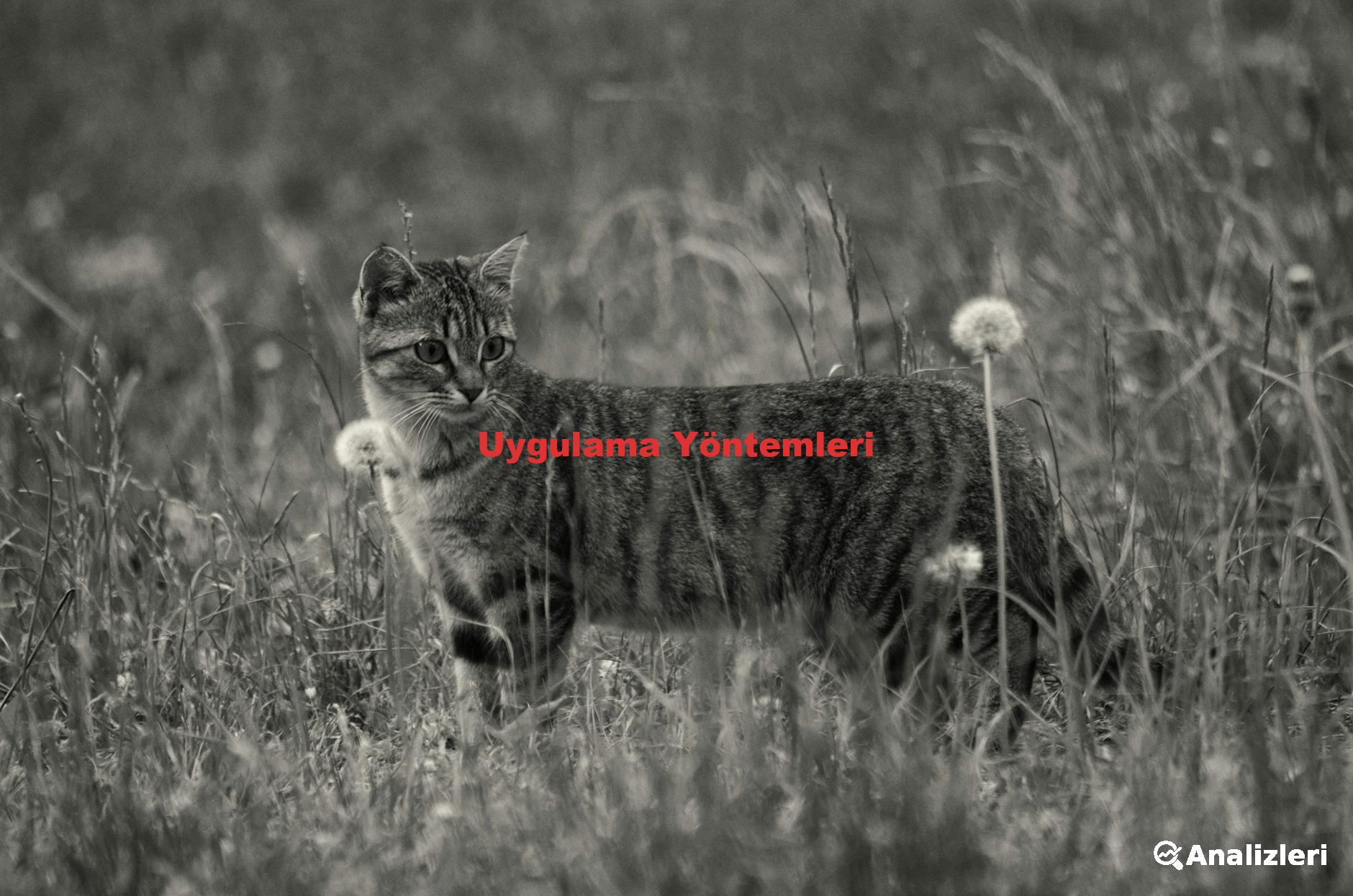 Uygulama Yöntemleri