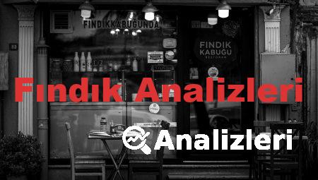 Fındık Analizleri