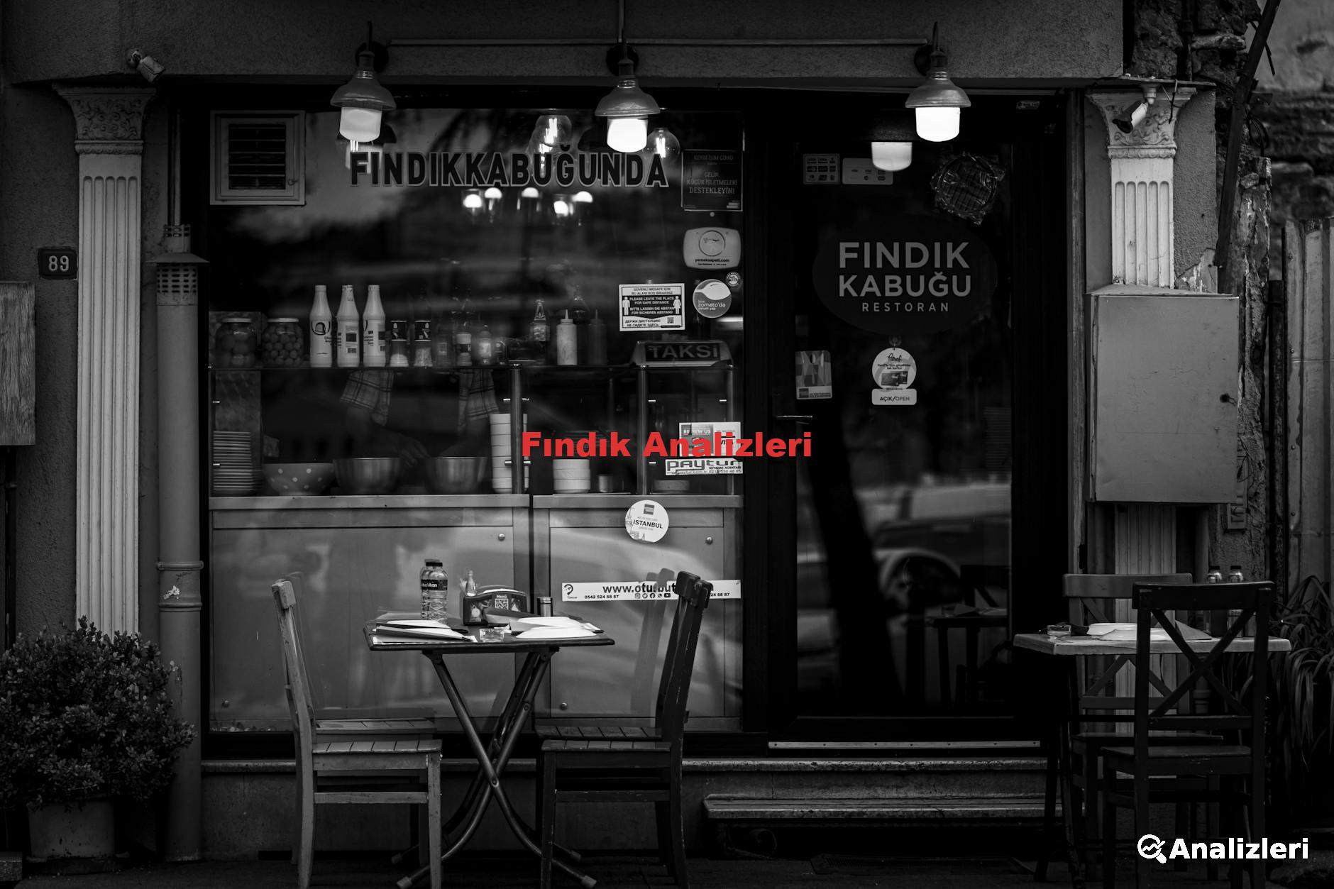 Fındık Analizleri