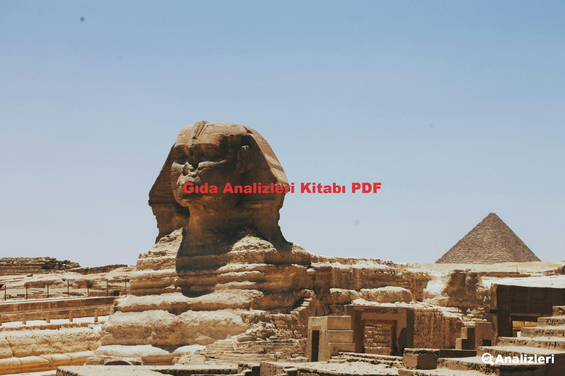 Gıda Analizleri Kitabı PDF