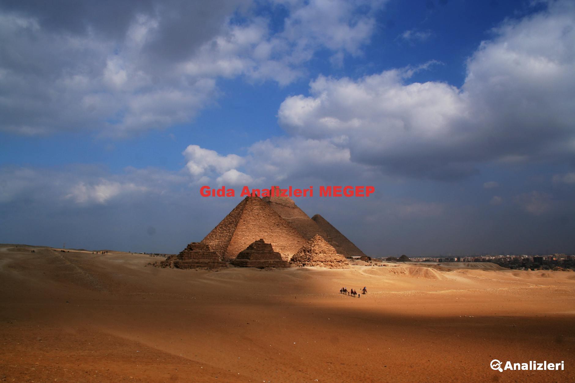 Gıda Analizleri MEGEP