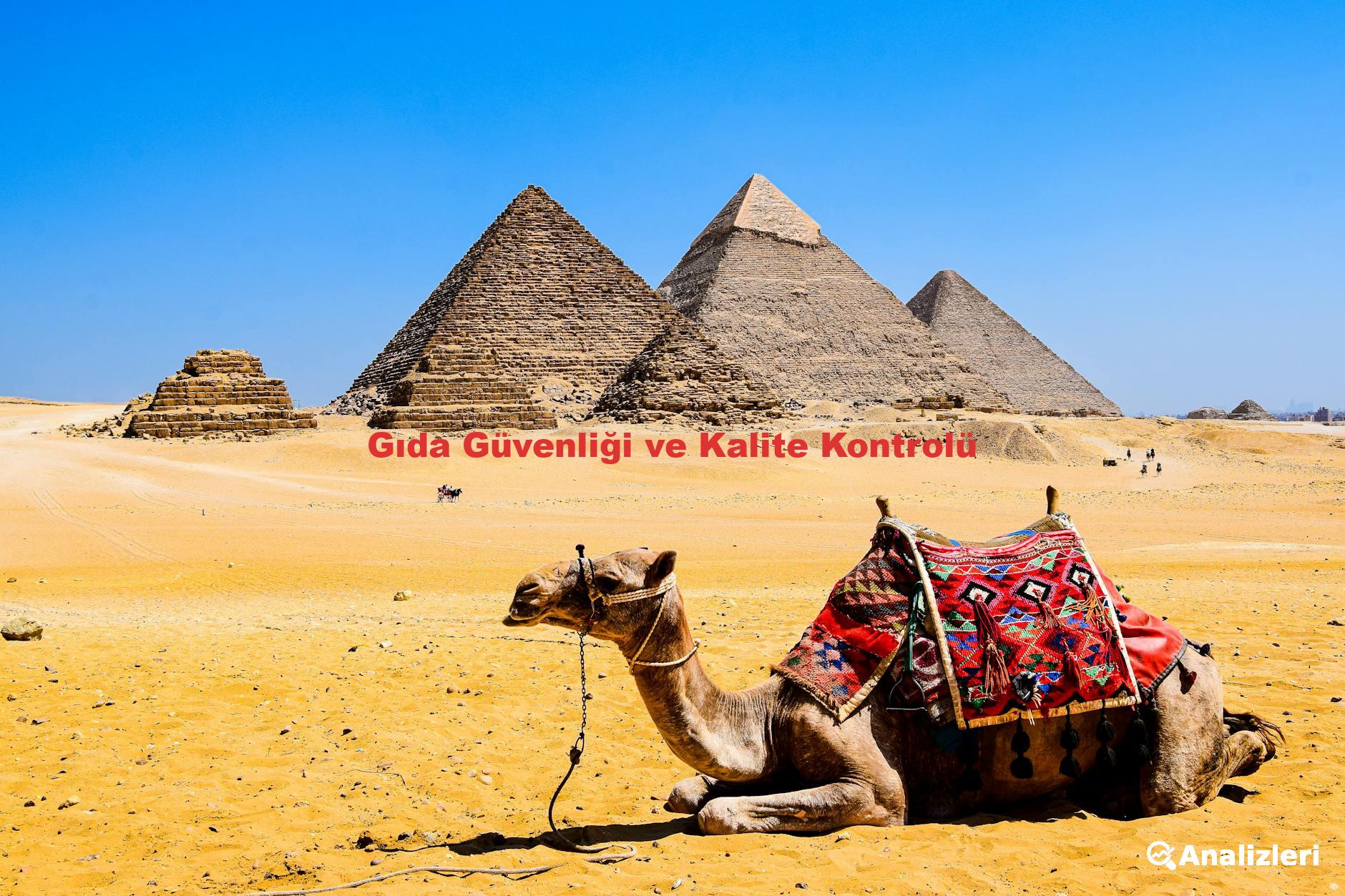 Gıda Güvenliği ve Kalite Kontrolü