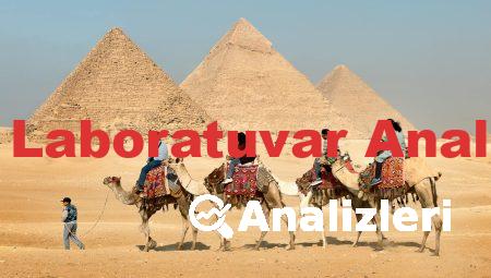 Gıda Laboratuvar Analizleri