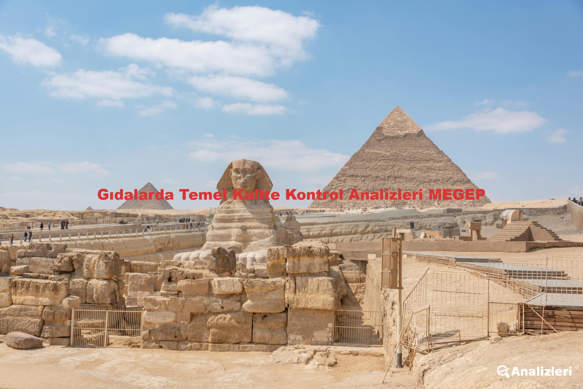 Gıdalarda Temel Kalite Kontrol Analizleri MEGEP