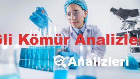 Gli Kömür Analizleri
