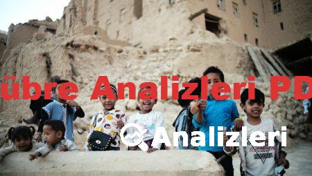 Gübre Analizleri PDF