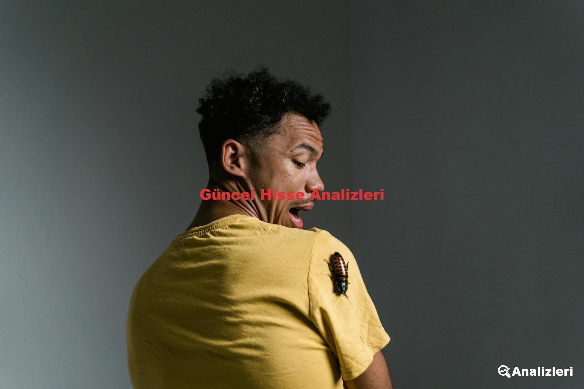 Güncel Hisse Analizleri