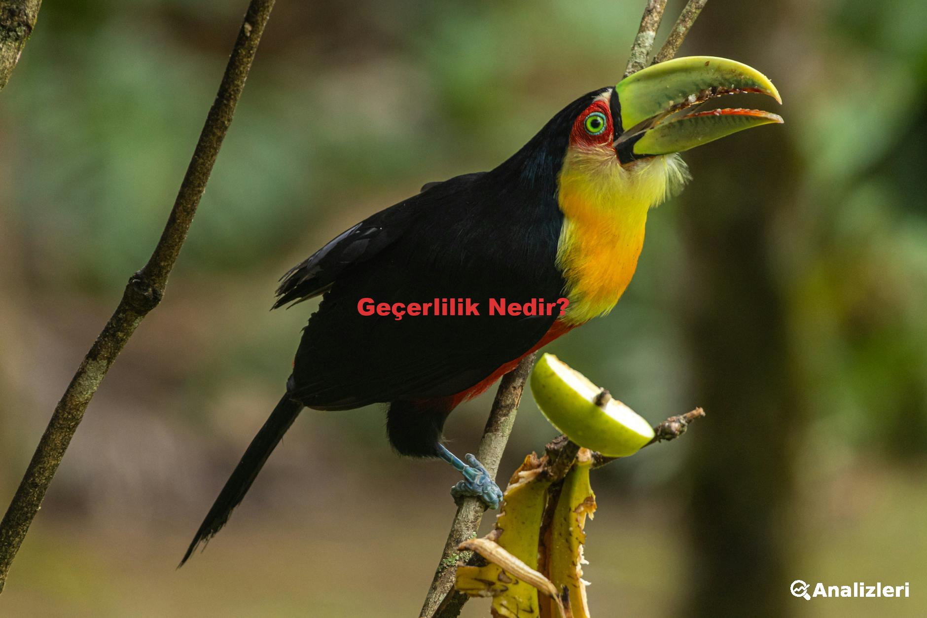 Geçerlilik Nedir?
