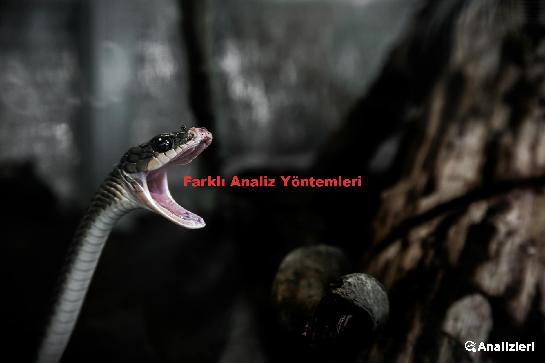 Farklı Analiz Yöntemleri