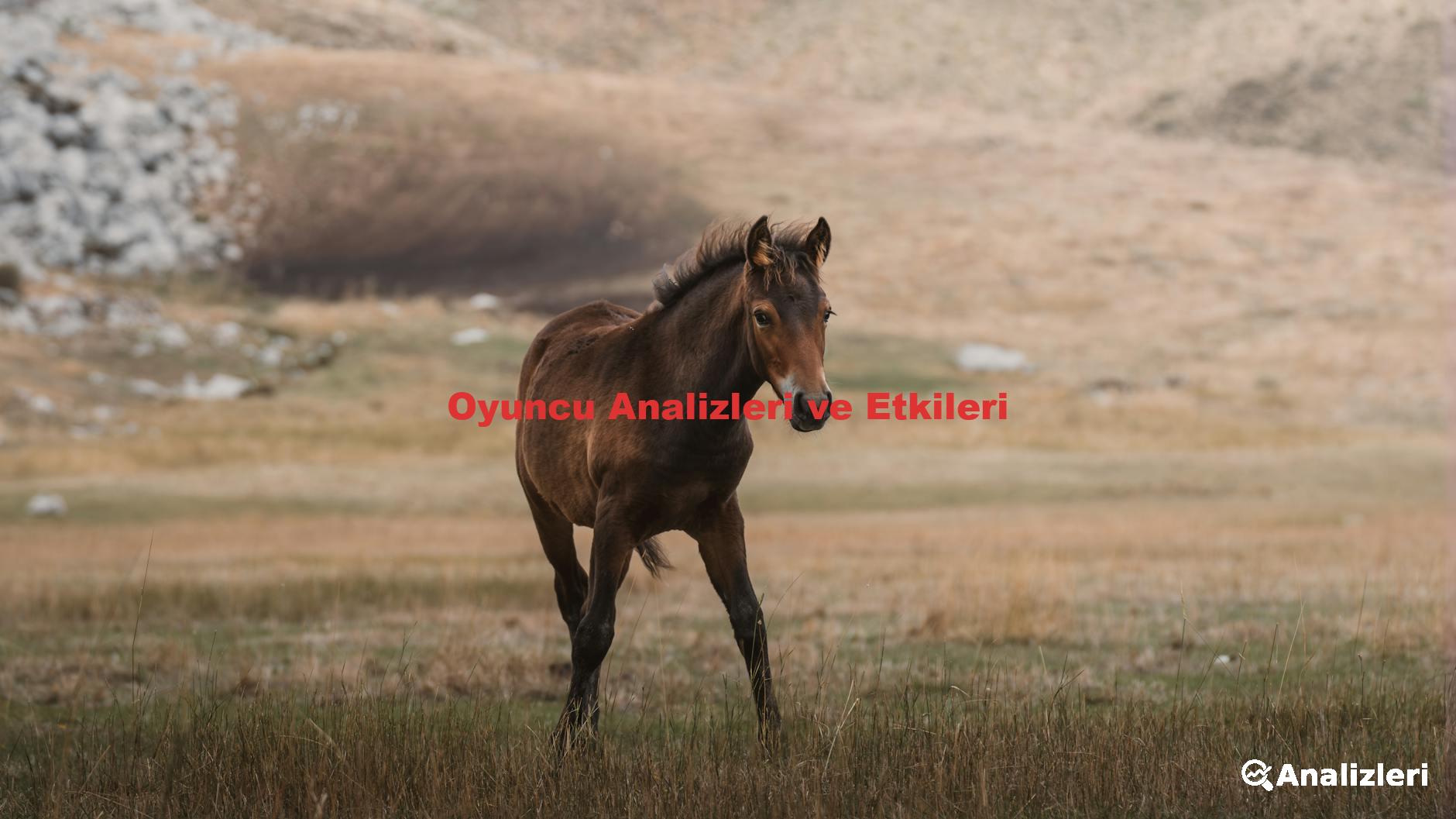 Oyuncu Analizleri ve Etkileri