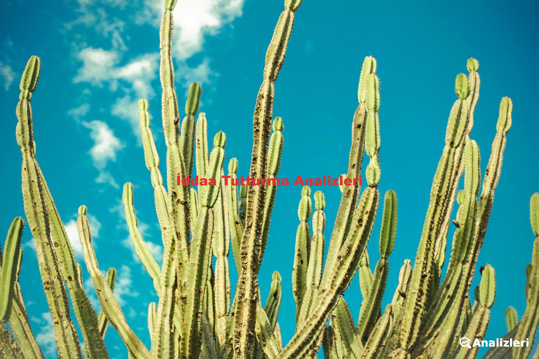 İddaa Tutturma Analizleri