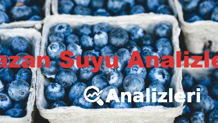 Kazan Suyu Analizleri