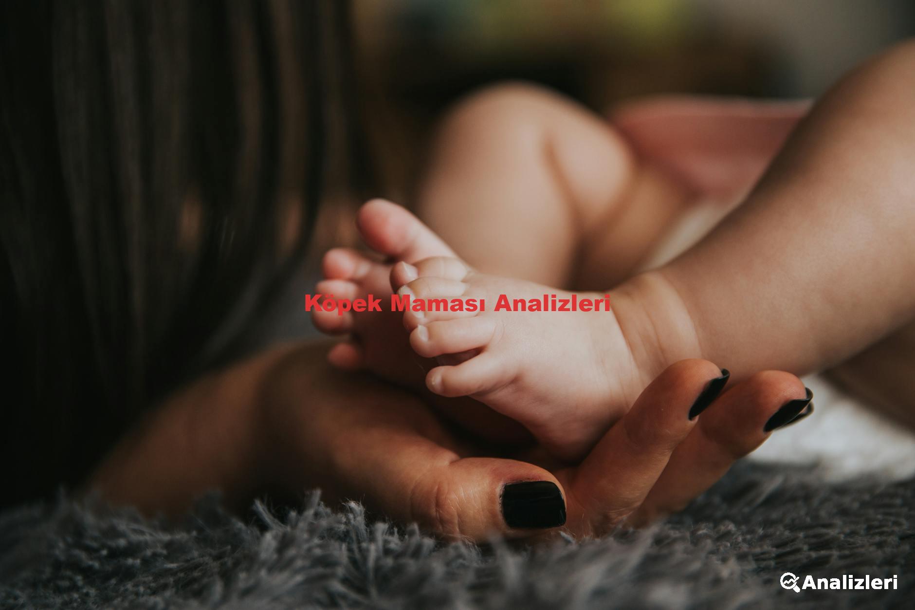 Köpek Maması Analizleri