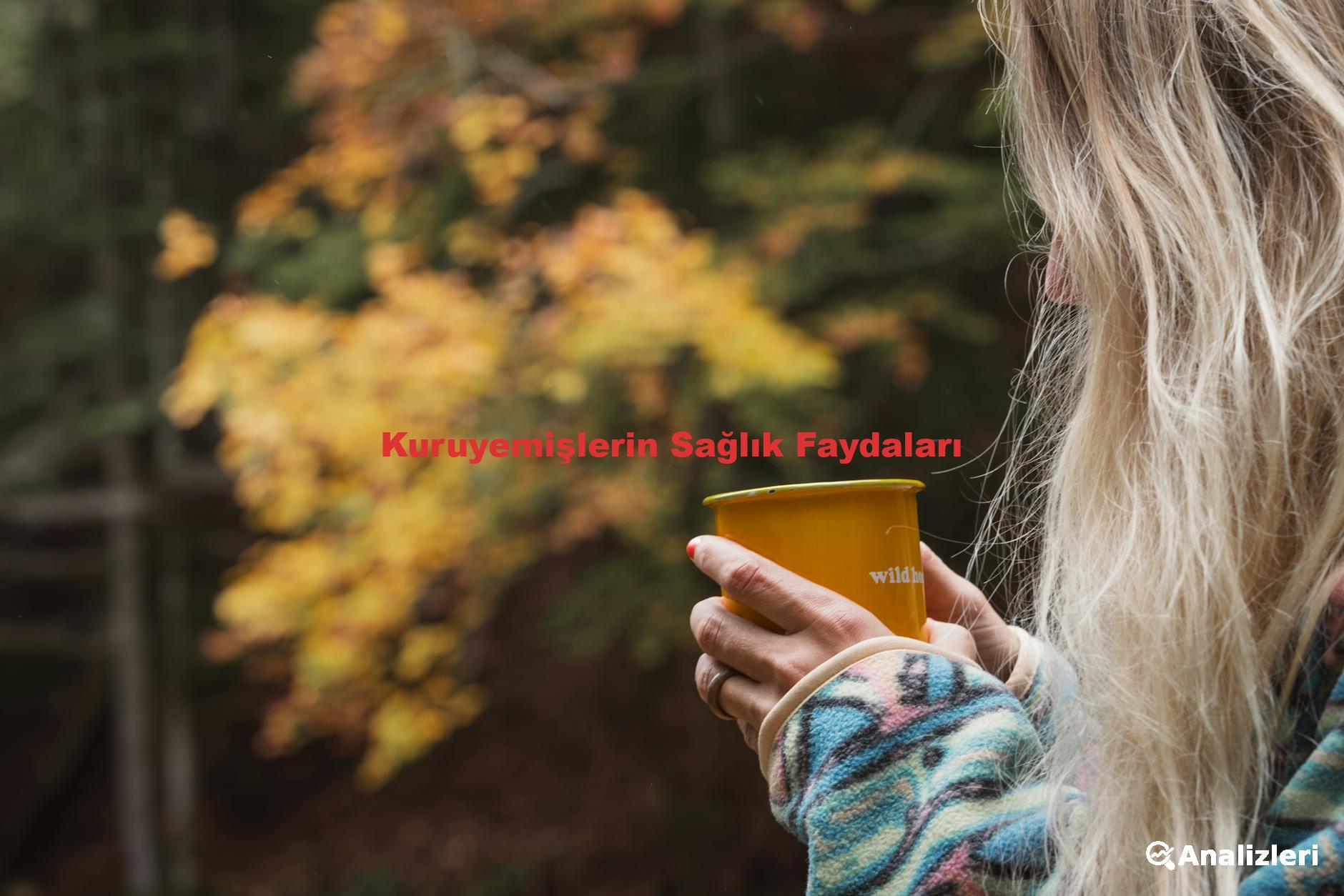 Kuruyemişlerin Sağlık Faydaları