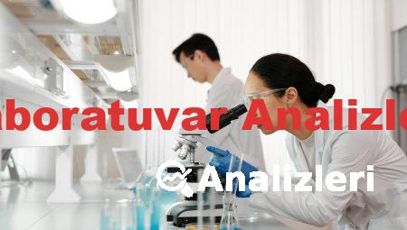 Laboratuvar Analizleri