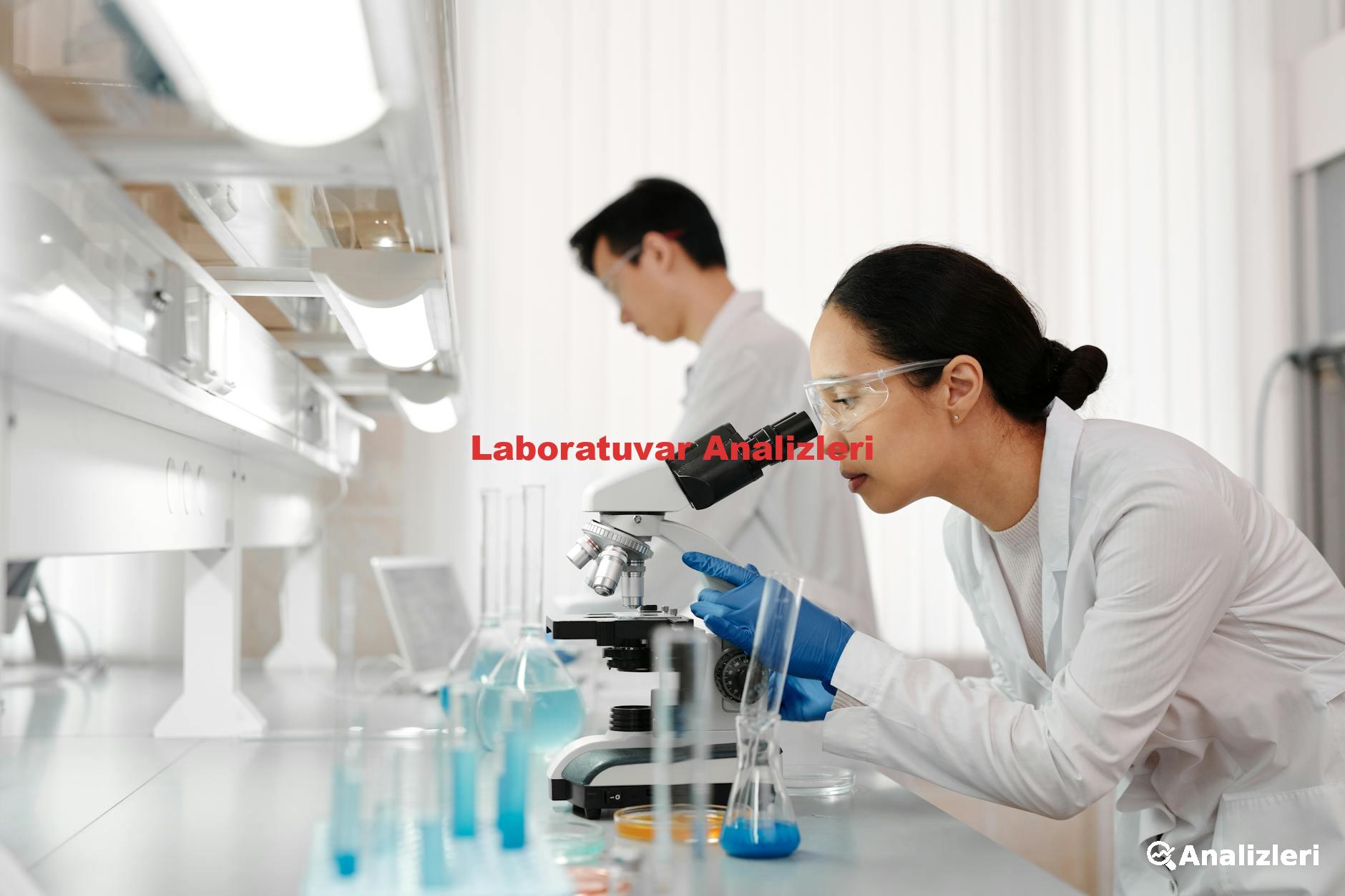 Laboratuvar Analizleri