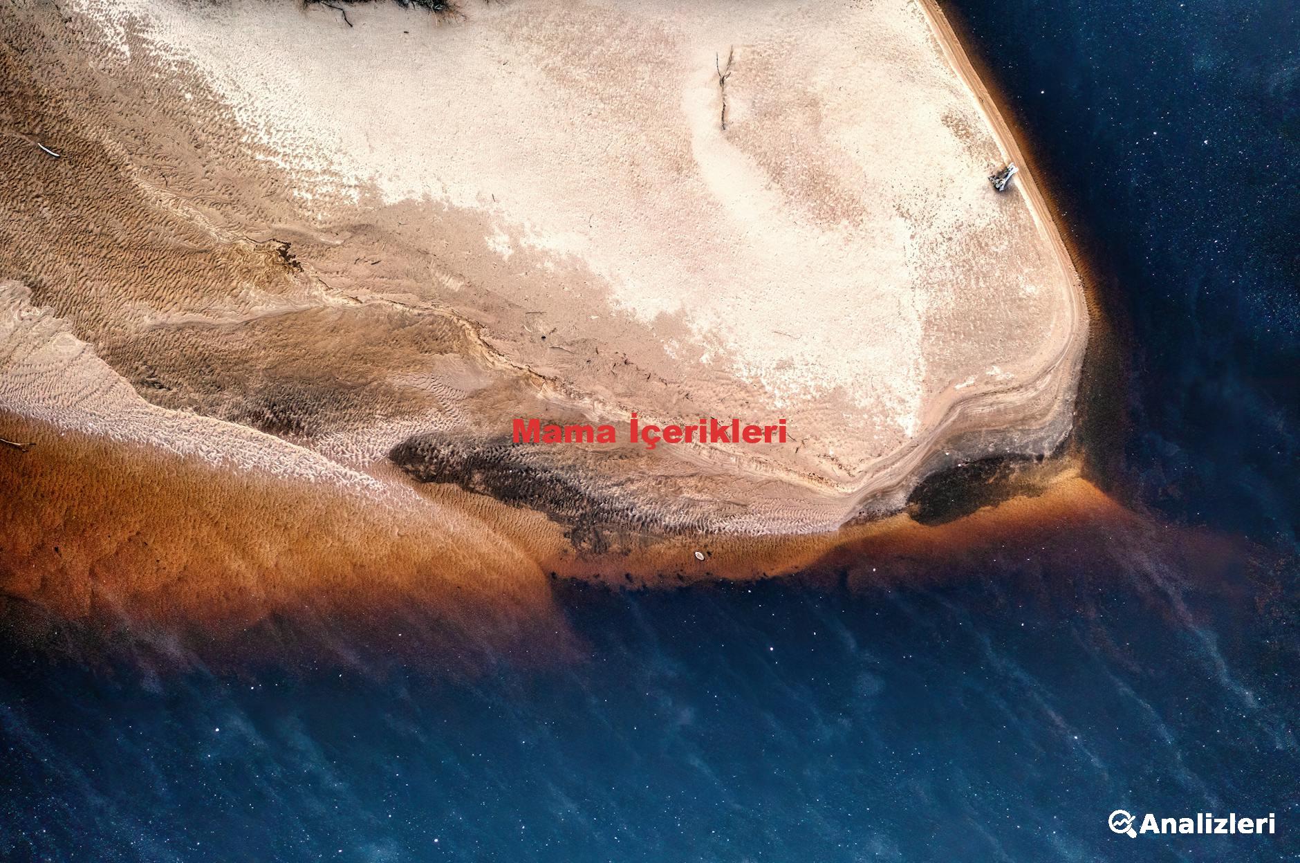 Mama İçerikleri