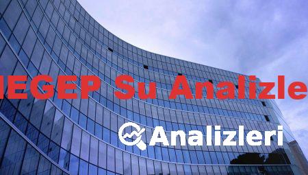 MEGEP Su Analizleri