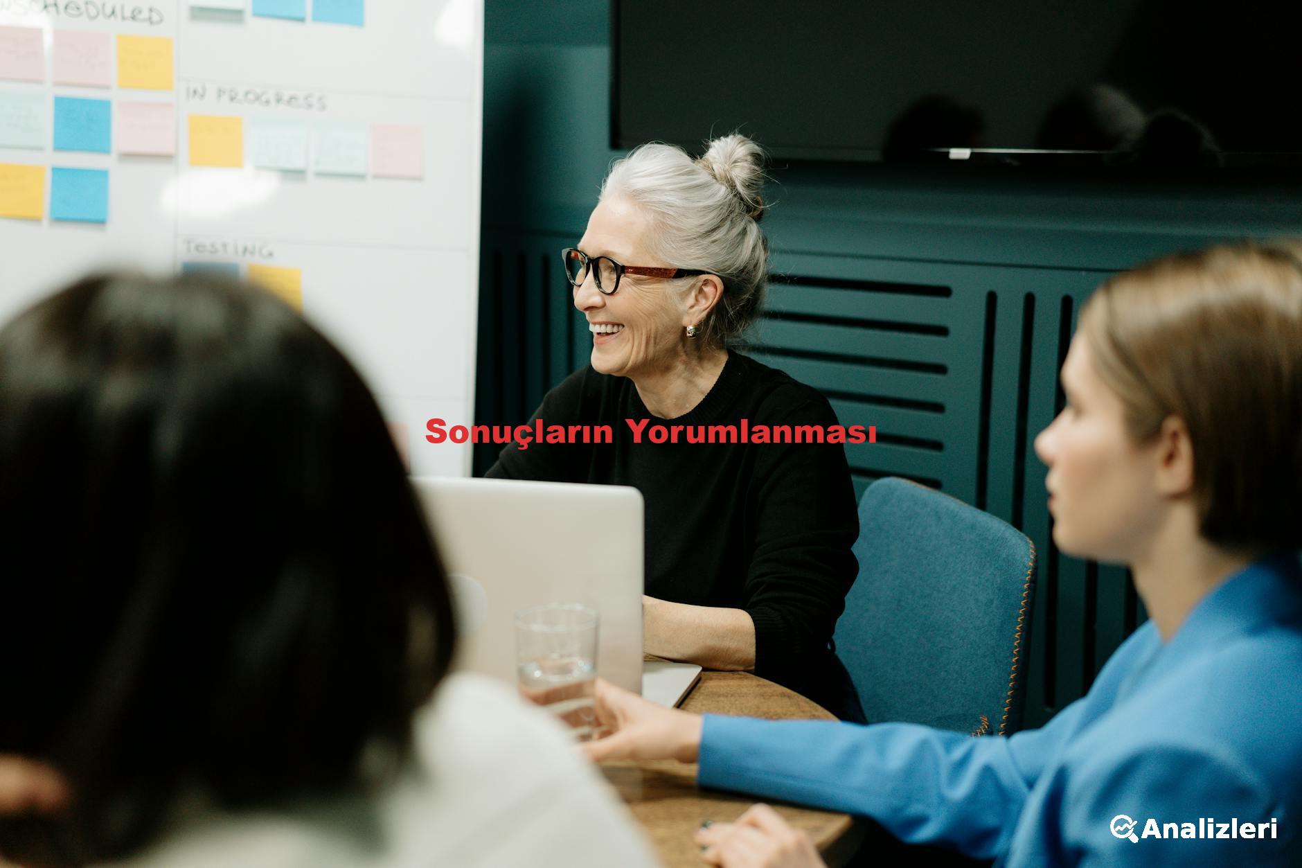 Sonuçların Yorumlanması