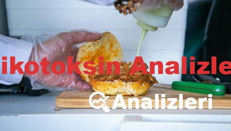 Mikotoksin Analizleri