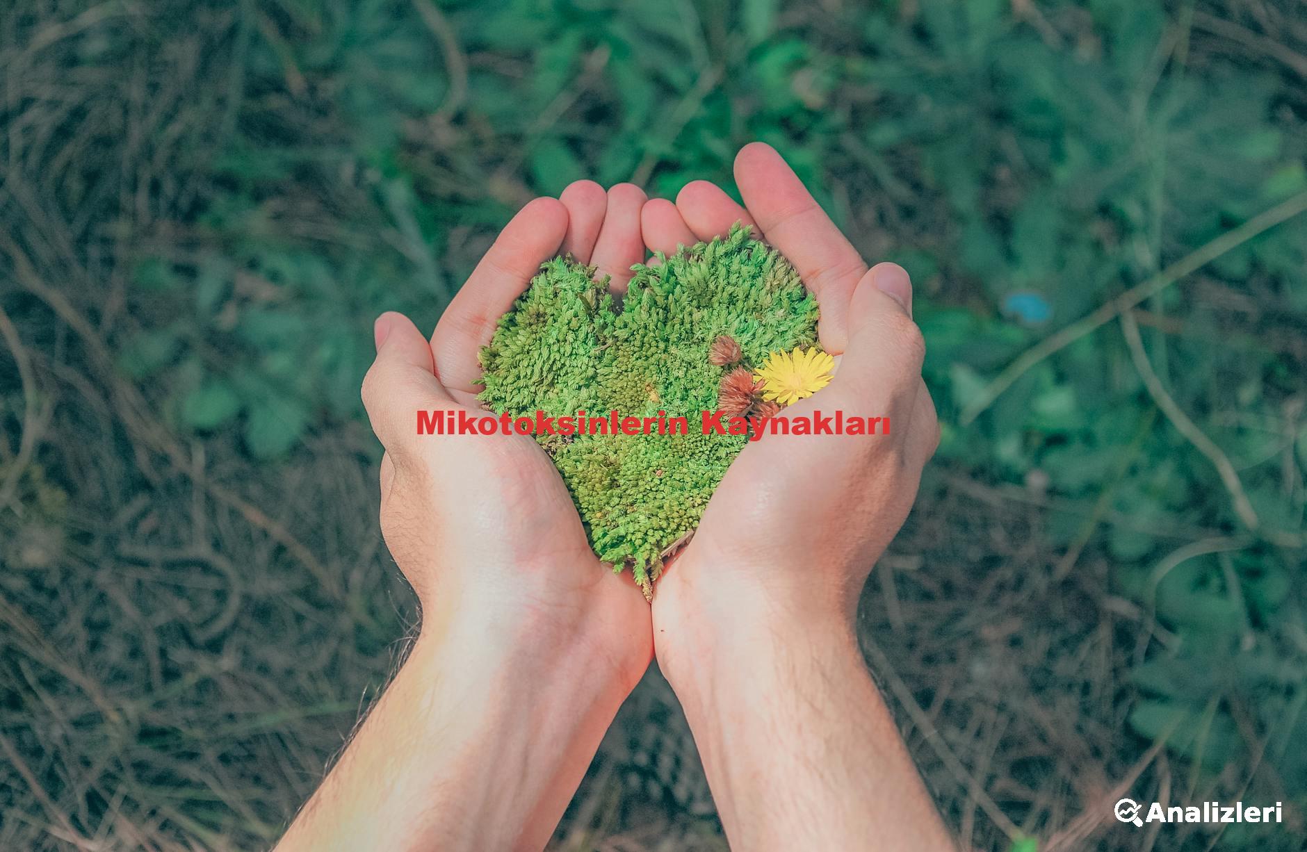 Mikotoksinlerin Kaynakları