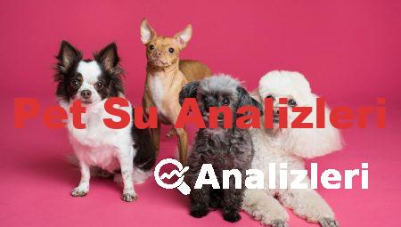 Pet Su Analizleri