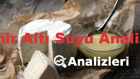 Peynir Altı Suyu Analizleri