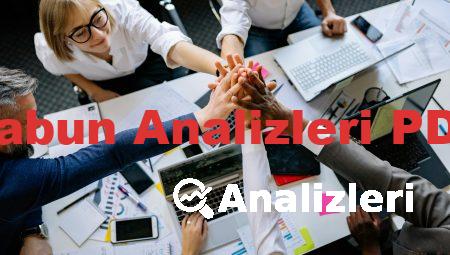 Sabun Analizleri PDF