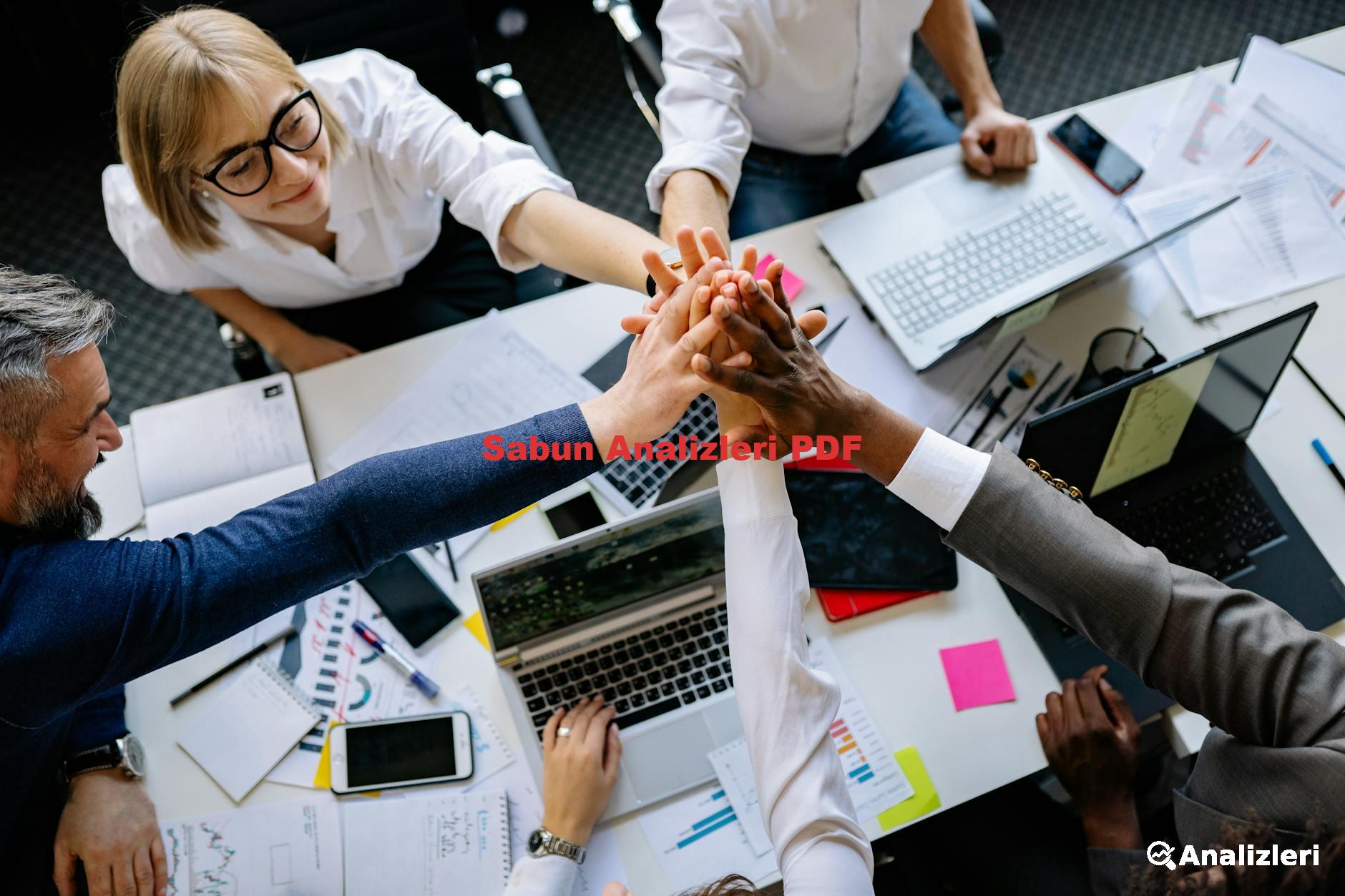 Sabun Analizleri PDF